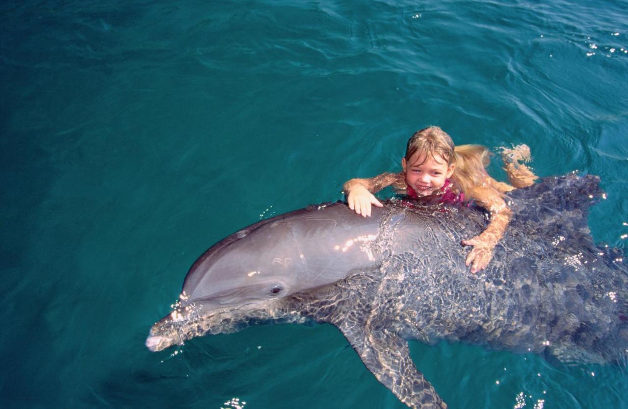 Vert Hotel Eilat By Afi Hotels Zewnętrze zdjęcie Dolphin and girl